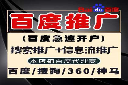 搜索引擎营销（SEM）的经典案例分析